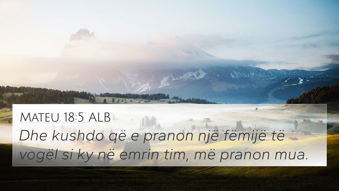 Mateu 18:5 ALB Bible Verse Image