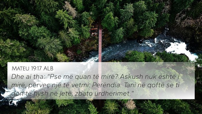 Mateu 19:17 ALB Bible Verse Image