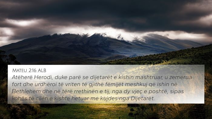 Mateu 2:16 ALB Bible Verse Image