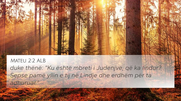 Mateu 2:2 ALB Bible Verse Image