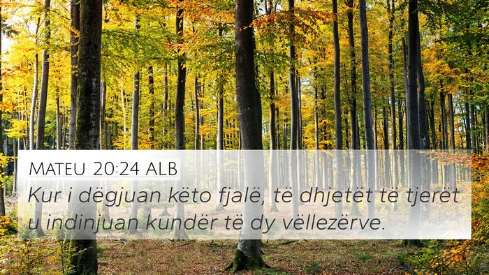 Mateu 20:24 ALB 4K Wallpaper - Kur i dëgjuan këto fjalë, të dhjetët të - 4K Wallpaper Bible Verse