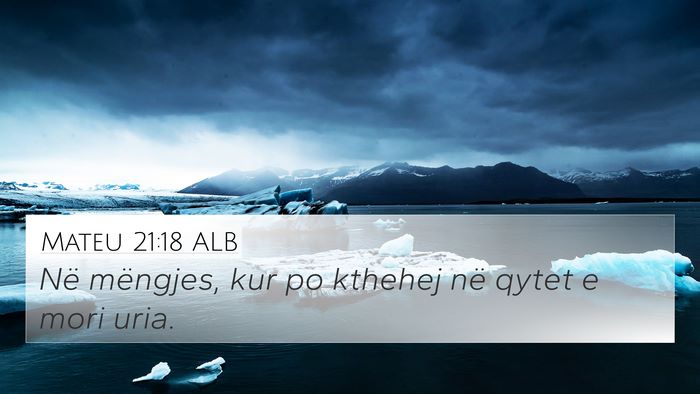Mateu 21:18 ALB Bible Verse Image