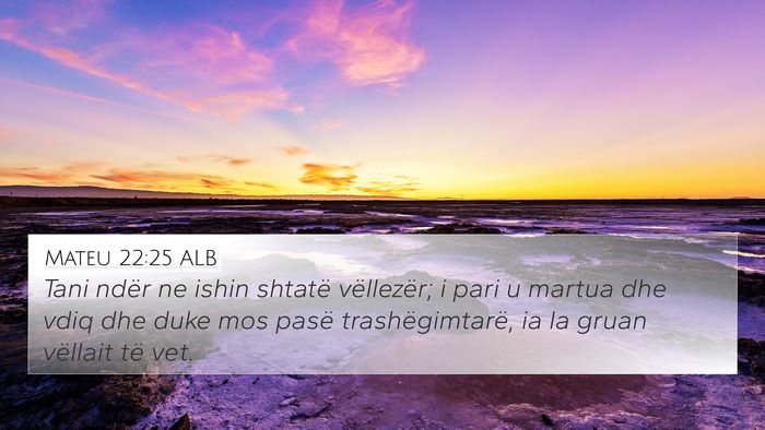 Mateu 22:25 ALB Bible Verse Image