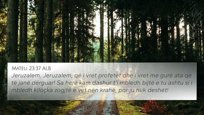 Mateu 23:37 ALB Bible Verse Image