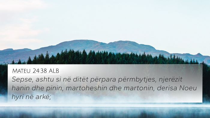 Mateu 24:38 ALB Bible Verse Image