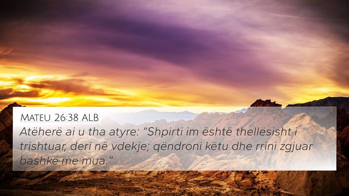 Mateu 26:38 ALB Bible Verse Image
