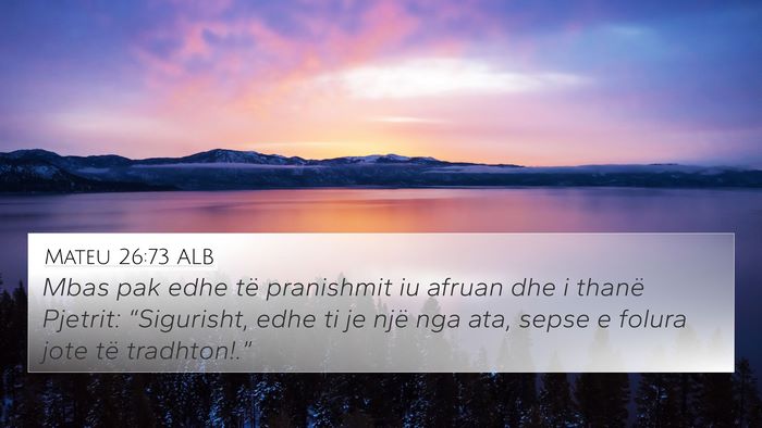Mateu 26:73 ALB Bible Verse Image