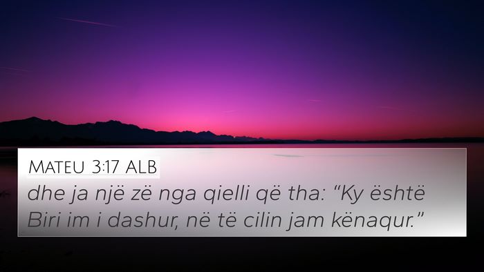 Mateu 3:17 ALB Bible Verse Image