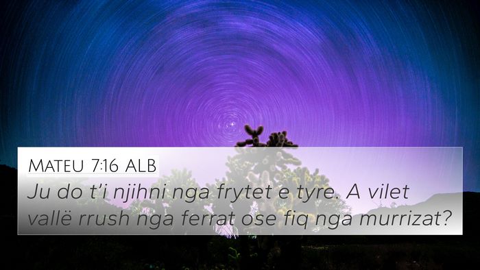 Mateu 7:16 ALB Bible Verse Image