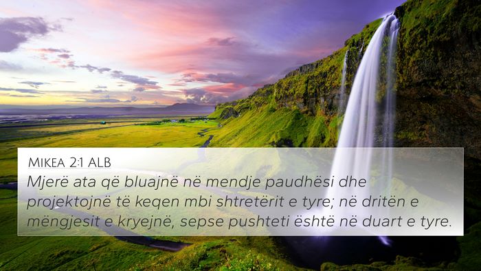 Mikea 2:1 ALB Bible Verse Image