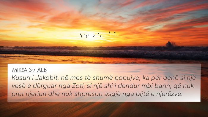 Mikea 5:7 ALB Bible Verse Image