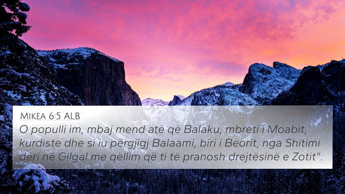 Mikea 6:5 ALB Bible Verse Image
