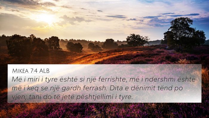 Mikea 7:4 ALB Bible Verse Image