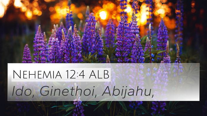 Nehemia 12:4 ALB 4K Wallpaper - Ido, Ginethoi, - 4K Wallpaper Bible Verse