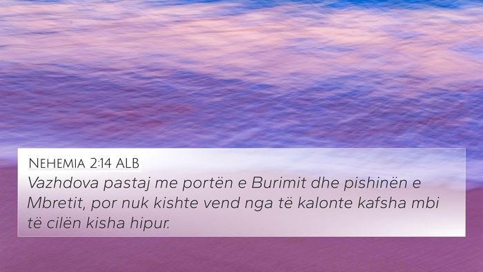 Nehemia 2:14 ALB Bible Verse Image