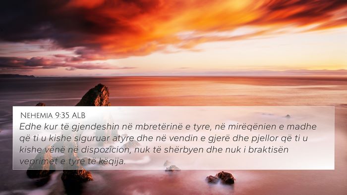 Nehemia 9:35 ALB Bible Verse Image