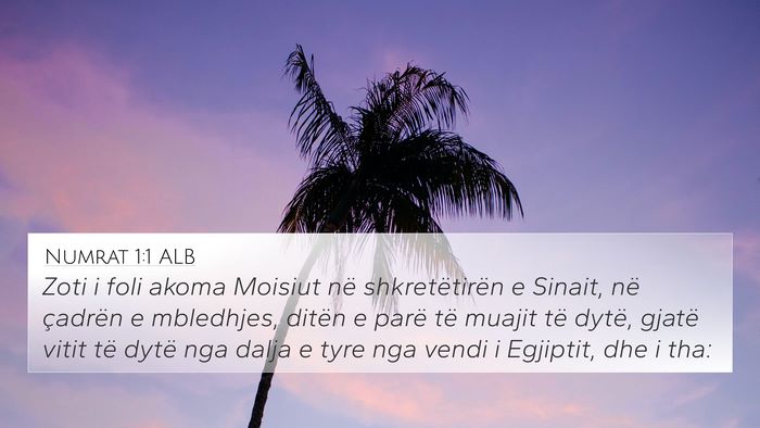 Numrat 1:1 ALB Bible Verse Image