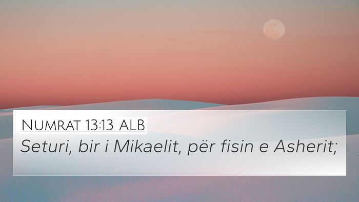 Numrat 13:13 ALB 4K Wallpaper - Seturi, bir i Mikaelit, për fisin e - 4K Wallpaper Bible Verse