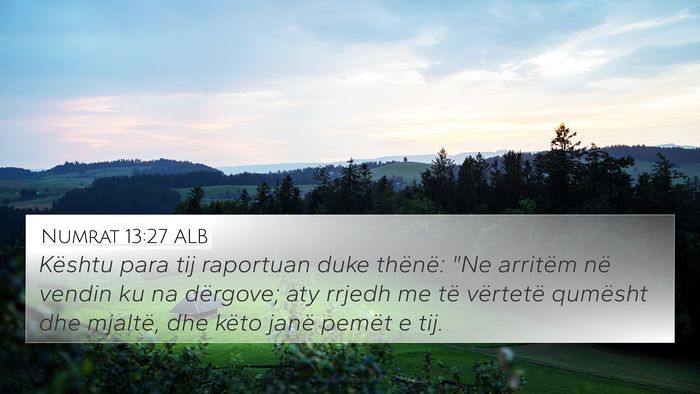 Numrat 13:27 ALB Bible Verse Image