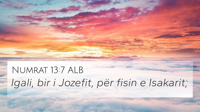 Numrat 13:7 ALB 4K Wallpaper - Igali, bir i Jozefit, për fisin e - 4K Wallpaper Bible Verse