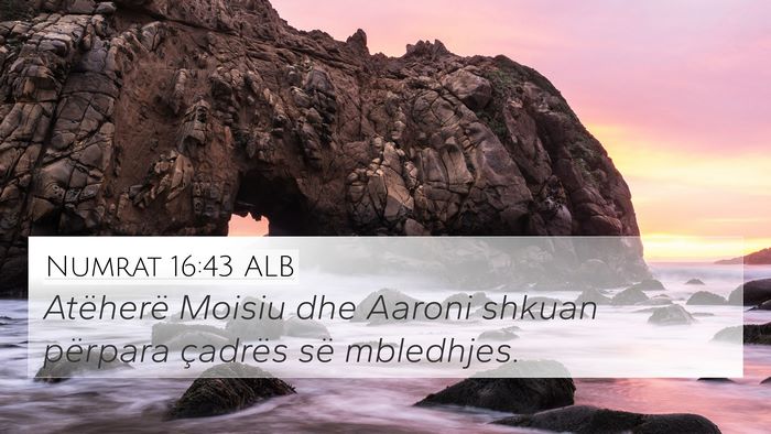 Numrat 16:43 ALB Bible Verse Image