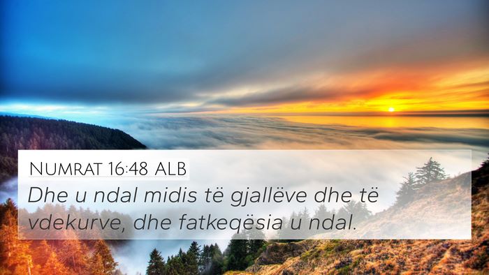Numrat 16:48 ALB Bible Verse Image