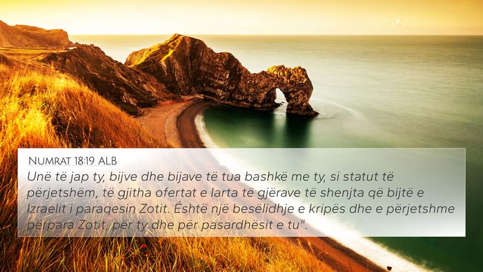 Numrat 18:19 ALB Bible Verse Image