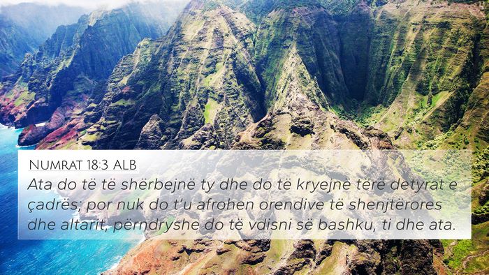 Numrat 18:3 ALB Bible Verse Image