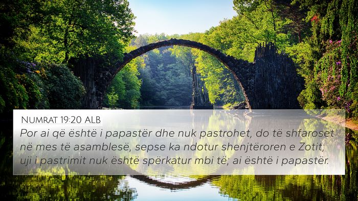 Numrat 19:20 ALB Bible Verse Image