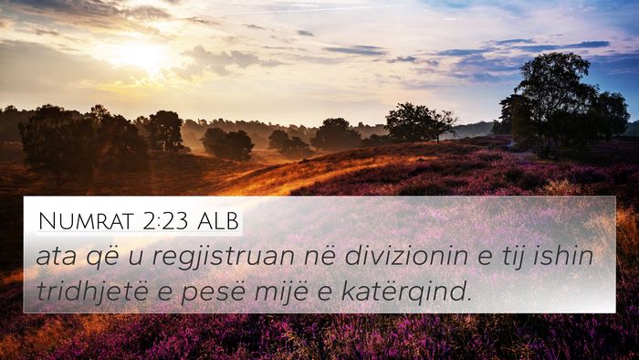 Numrat 2:23 ALB Bible Verse Image