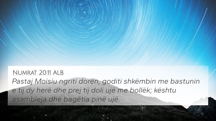 Numrat 20:11 ALB Bible Verse Image