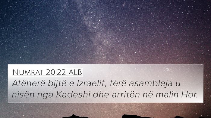 Numrat 20:22 ALB Bible Verse Image
