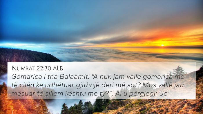 Numrat 22:30 ALB 4K Wallpaper - Gomarica i tha Balaamit: 