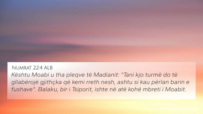 Numrat 22:4 ALB Bible Verse Image