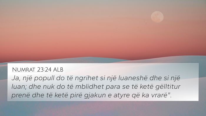 Numrat 23:24 ALB Bible Verse Image