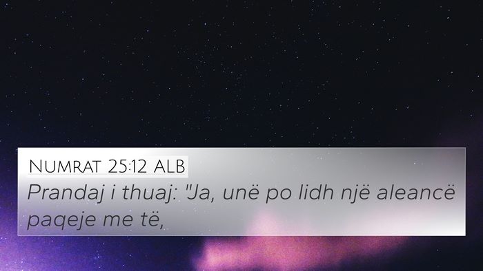 Numrat 25:12 ALB Bible Verse Image