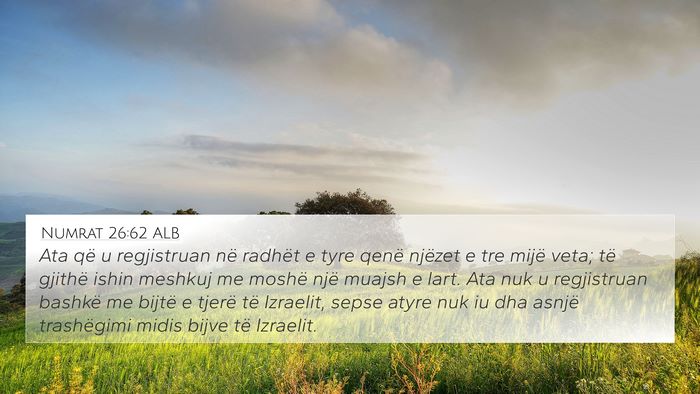 Numrat 26:62 ALB Bible Verse Image