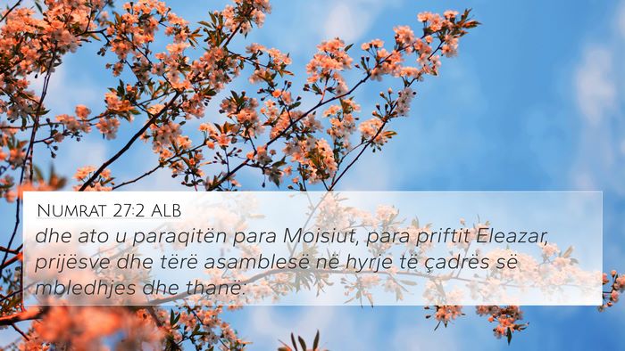 Numrat 27:2 ALB Bible Verse Image
