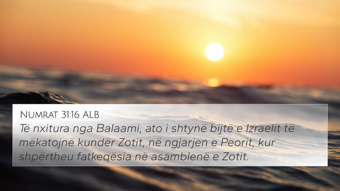 Numrat 31:16 ALB Bible Verse Image