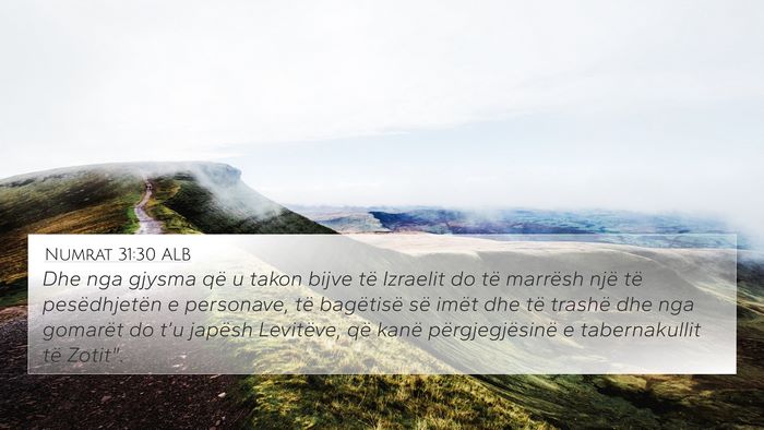 Numrat 31:30 ALB Bible Verse Image