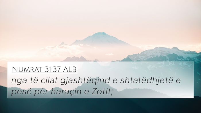 Numrat 31:37 ALB 4K Wallpaper - nga të cilat gjashtëqind e shtatëdhjetë e - 4K Wallpaper Bible Verse