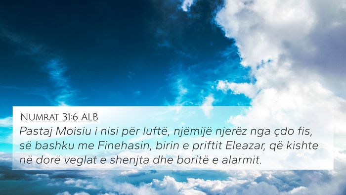 Numrat 31:6 ALB Bible Verse Image