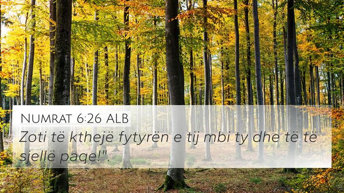 Numrat 6:26 ALB Bible Verse Image