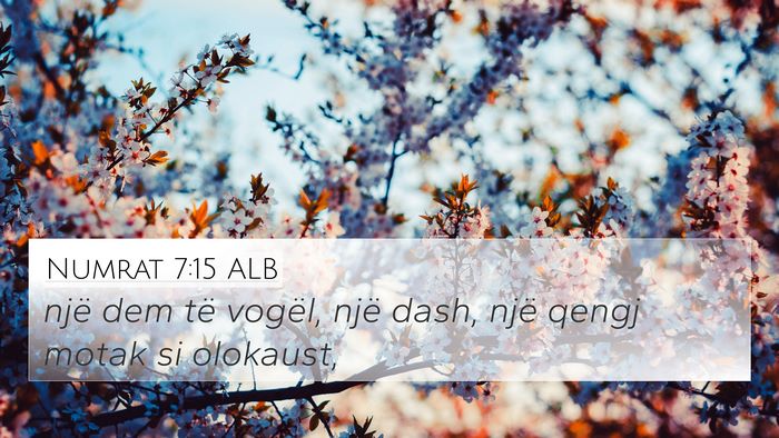 Numrat 7:15 ALB 4K Wallpaper - një dem të vogël, një dash, një qengj motak - 4K Wallpaper Bible Verse