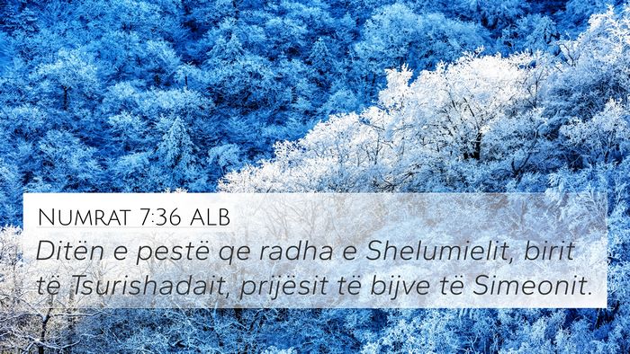 Numrat 7:36 ALB Bible Verse Image
