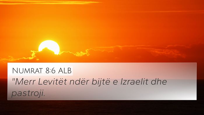 Numrat 8:6 ALB Bible Verse Image