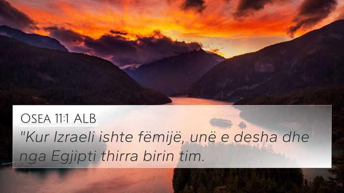 Osea 11:1 ALB Bible Verse Image