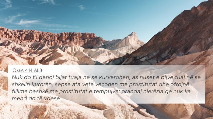 Osea 4:14 ALB Bible Verse Image