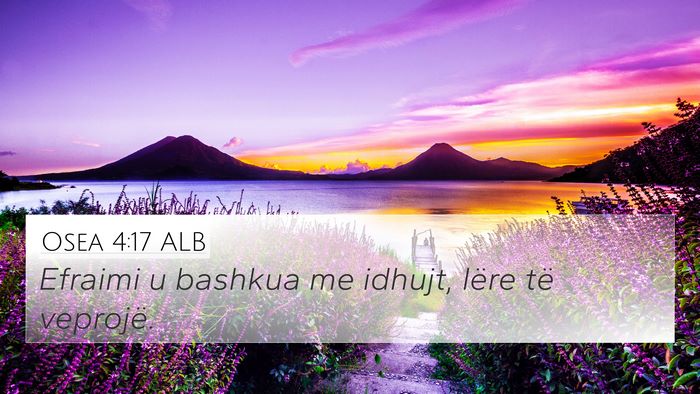 Osea 4:17 ALB Bible Verse Image