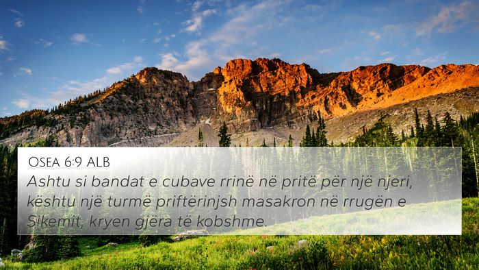 Osea 6:9 ALB Bible Verse Image